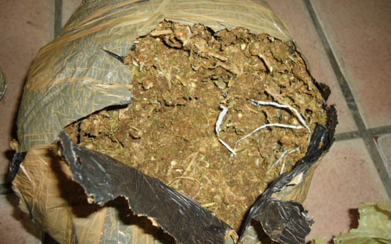 llueve marihuana en eeuu