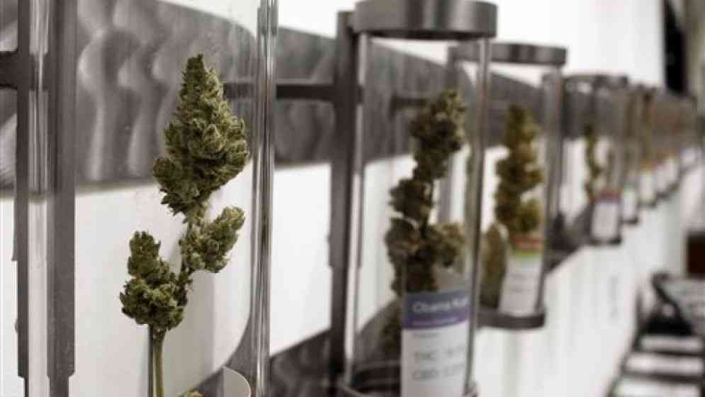 Se inicia la venta de marihuana para fines recreativos en Oregon