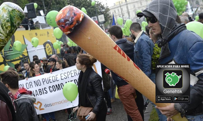 PP, PSOE y Ciudadanos se muestran reacios a la proposicón de no ley de ERC para la regulación del cannabis