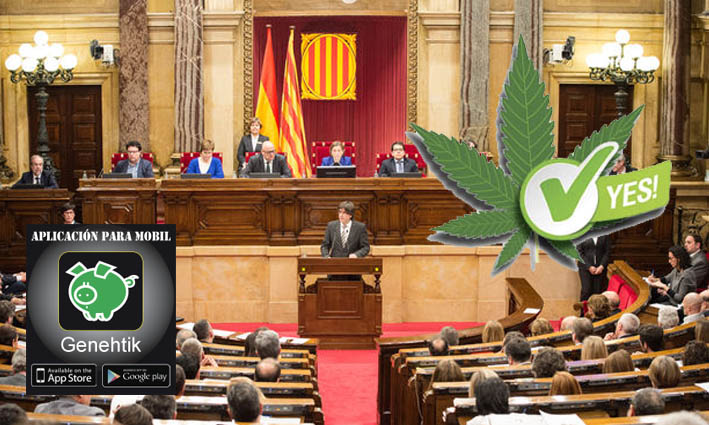 Cataluña regula el consumo, cultivo y el transporte de cannabis