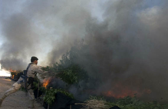 humo provocado por la quema de marihuana