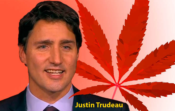 Justin Trudeau promete en campaña la legalización de la marihuana en Canadá