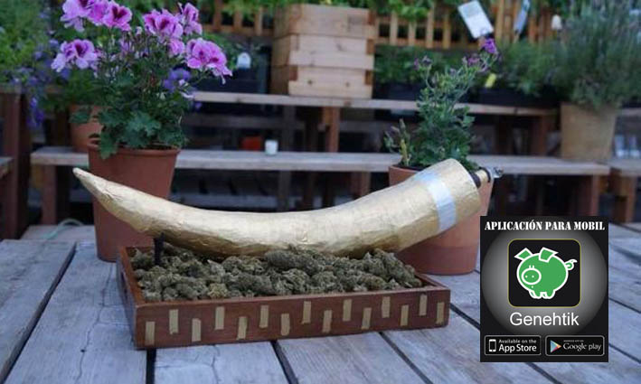 El porro de marihuana más caro del mundo