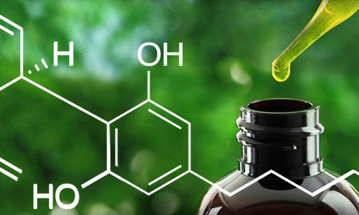 El cannabidiol, CBD, para combatir la psicosis