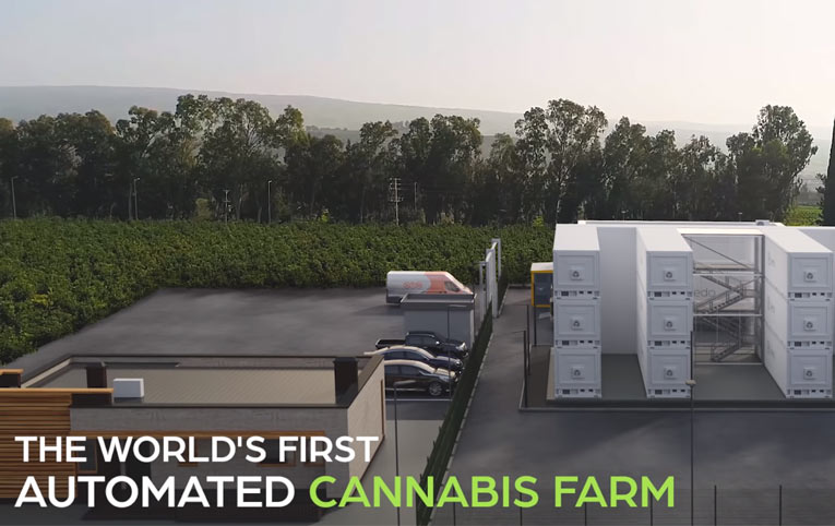 Primera granja de marihuana automatizada