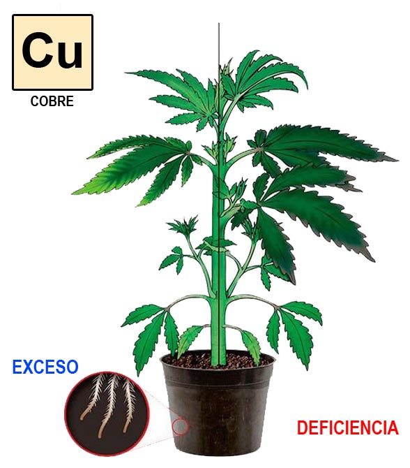 Cobre-cannabis