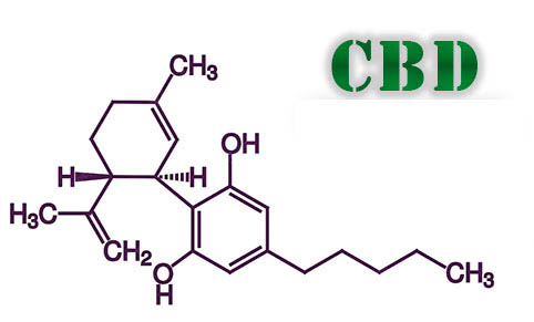 molecula-cbd molecula-cbd